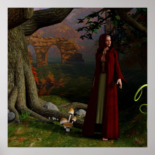 Medieval Lady Fantasy Art Forest Poster (Voorkant)