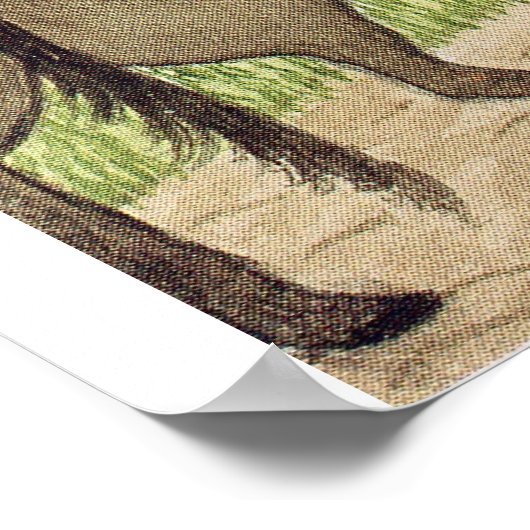 Medieval Life in Engeland - Canterbury pelgrims Poster (Hoek)