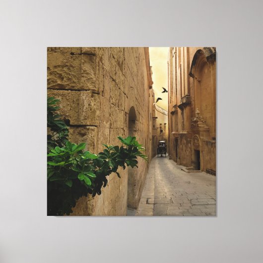 Medieval Narrow Street Tall Build and Coach Canvas Afdruk (Voorkant)