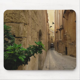 Medieval Narrow Street Tall Build and Coach Muismat