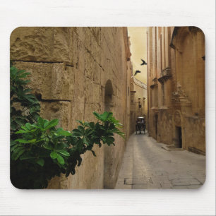 Medieval Narrow Street Tall Build and Coach Muismat