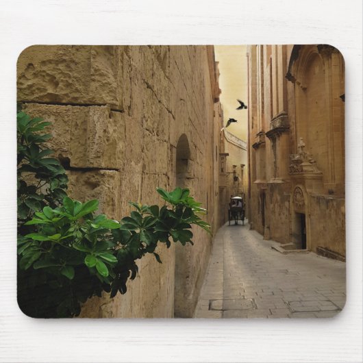 Medieval Narrow Street Tall Build and Coach Muismat (Voorkant)