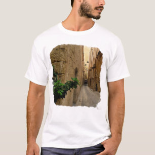 Medieval Narrow Street Tall Build and Coach T-shirt