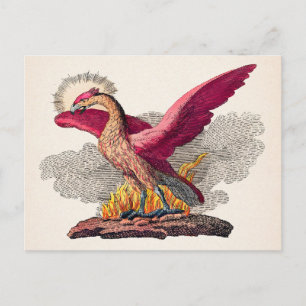 medieval Phoenix Briefkaart