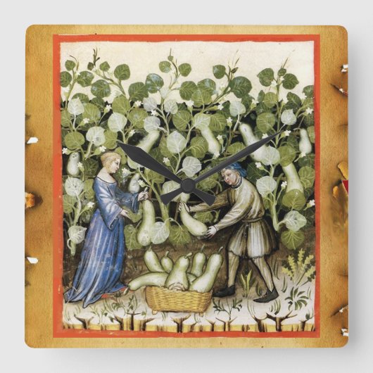 MEDIEVAL SQUASH HARVEST PARCHMENT Squashes Vierkante Klok (Voorkant)