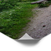 Medieval Strongold op een rots Poster (Hoek)