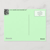 Medieval Times Briefkaart (Achterkant)