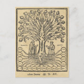 Medieval Tree of Science Briefkaart (Voorkant)
