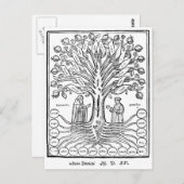 Medieval Tree of Sciences Briefkaart (Voorkant / Achterkant)