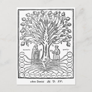 Medieval Tree of Sciences Briefkaart