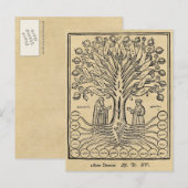 Medieval Tree of the Sciences Sepia Briefkaart (Voorkant / Achterkant)