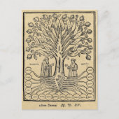 Medieval Tree of the Sciences Sepia Briefkaart (Voorkant)