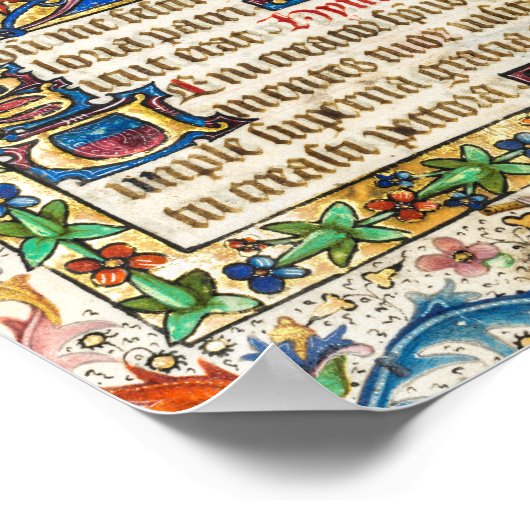 Medieval verlicht manuscript poster (Hoek)