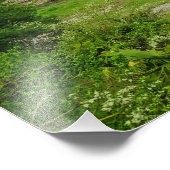 Medieval Village Besalú Spain Foto Afdruk (Hoek)