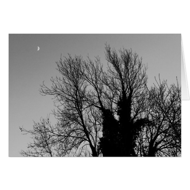 Medieval Winter namiddag (Voorkant Horizontaal)