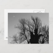 Medieval Winter namiddag Briefkaart (Voorkant / Achterkant)