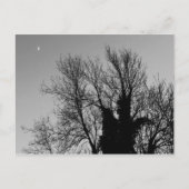 Medieval Winter namiddag Briefkaart (Voorkant)