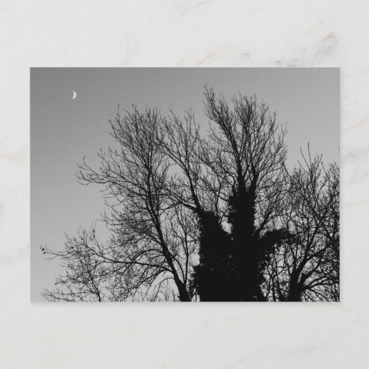 Medieval Winter namiddag Briefkaart (Voorkant)