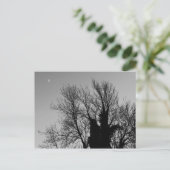 Medieval Winter namiddag Briefkaart (Staand voorkant)