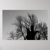 Medieval Winter namiddag Poster (Voorkant)