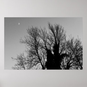 Medieval Winter namiddag Poster