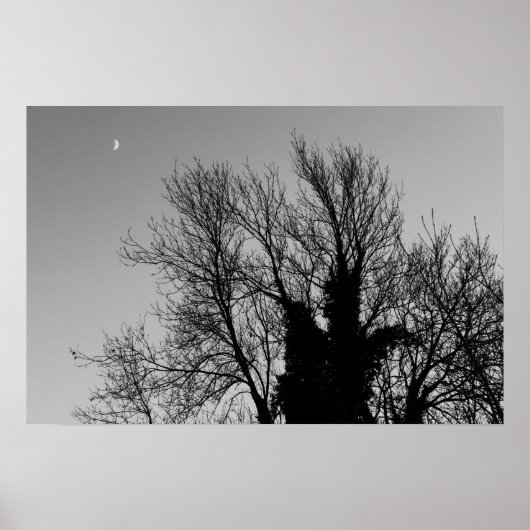 Medieval Winter namiddag Poster (Voorkant)