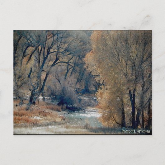 medio december 2010 heek in Prescott, Arizona Briefkaart (Voorkant)