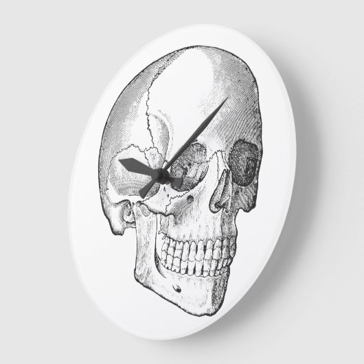 Medisch anatomische  schedel, monochroom grote klok (Hoek)