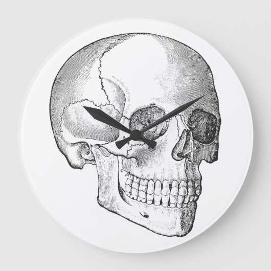 Medisch anatomische  schedel, monochroom grote klok (Voorkant)