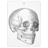 Medisch anatomische  schedel, monochroom klembord (Achterkant)