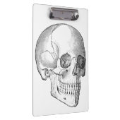 Medisch anatomische  schedel, monochroom klembord (Rechts)