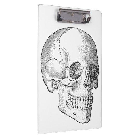 Medisch anatomische  schedel, monochroom klembord (Rechts)