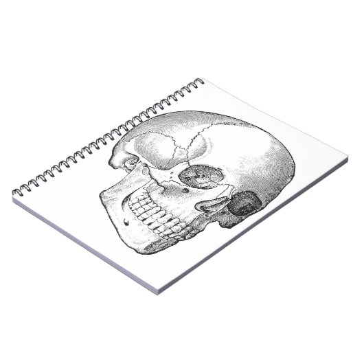 Medisch anatomische  schedel, monochroom notitieboek (Linkerzijde)
