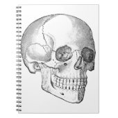 Medisch anatomische  schedel, monochroom notitieboek (Voorkant)