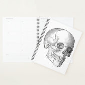 Medisch anatomische  schedel, monochroom planner (Display)