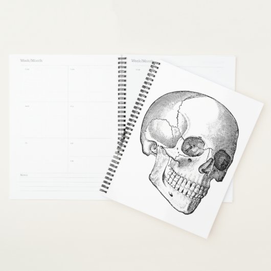 Medisch anatomische  schedel, monochroom planner (Display)