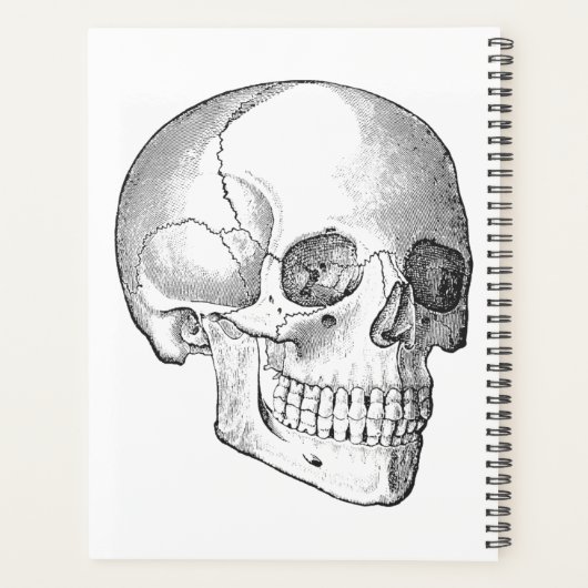 Medisch anatomische  schedel, monochroom planner