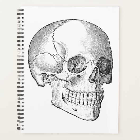 Medisch anatomische  schedel, monochroom planner (Voorkant)