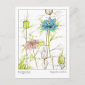 Medisch Kruid Studie Kaart Nigella Wildflower (Voorkant)