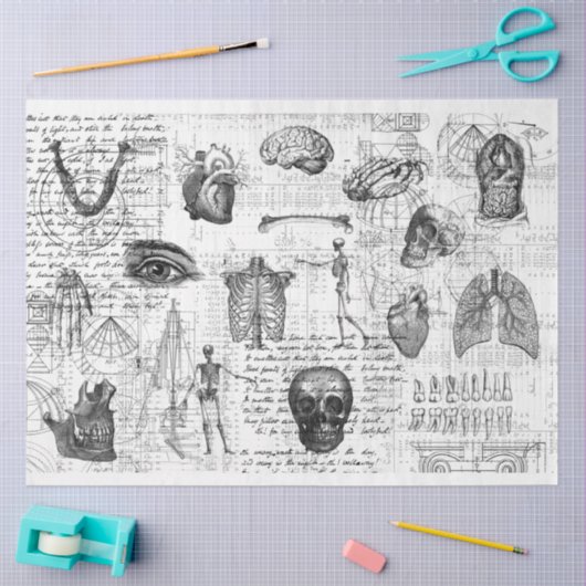  medisch lichaam Gothic B&W-weefselpapier Tissuepapier (Craft)