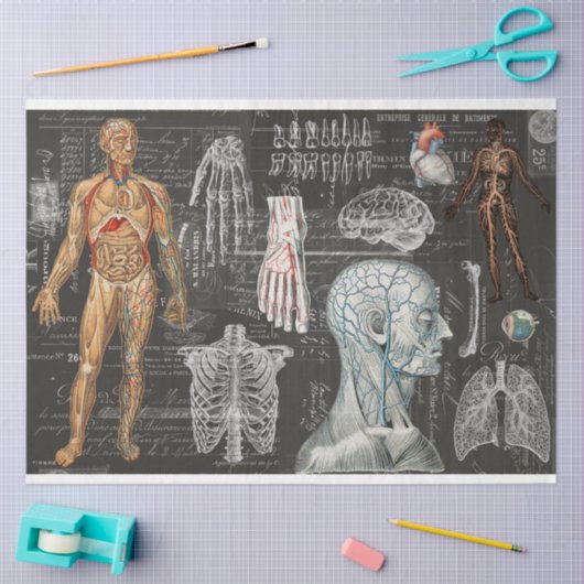 medisch lichaam Gothic Halloween-weefselpapier Tissuepapier (Craft)