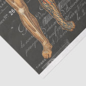 medisch lichaam Gothic Halloween-weefselpapier Tissuepapier (Detail)