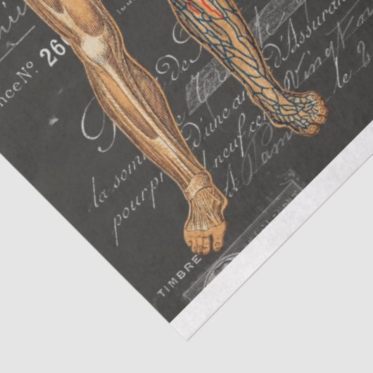 medisch lichaam Gothic Halloween-weefselpapier Tissuepapier (Detail)