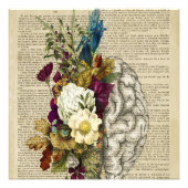 medisch poster voor de anatomie van de hersenen (Voorkant)