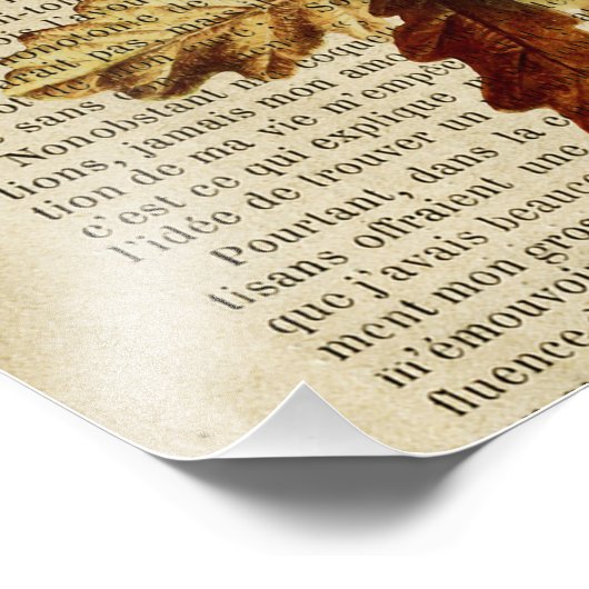 medisch poster voor de anatomie van de hersenen (Hoek)