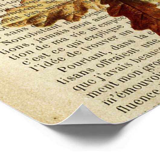 medisch poster voor de anatomie van de hersenen (Hoek)