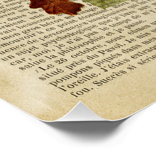 medisch poster voor de anatomie van de hersenen (Hoek)