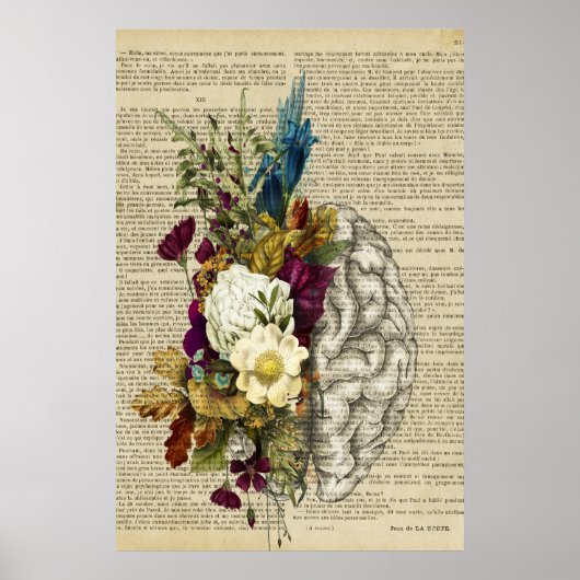 medisch poster voor de anatomie van de hersenen (Voorkant)