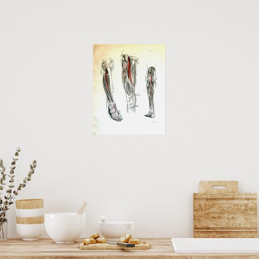  medische afbeelding van het been poster (Keuken)