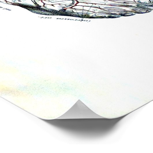  medische afbeelding van het been poster (Hoek)